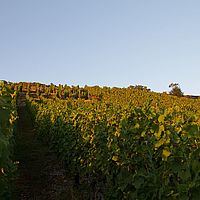 2012-08-18 20-15-15