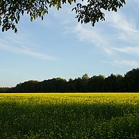 2012-10-02 18-06-18