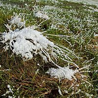 2013-02-10 11-47-36