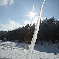 2013-02-10 11-49-19