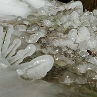 2013-02-10 11-50-38