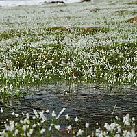 2013-02-10 11-54-11
