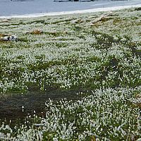 2013-02-10 11-54-23