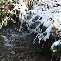 2013-02-10 11-55-57
