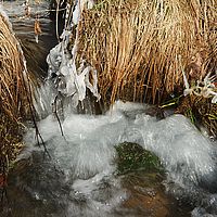 2013-02-10 11-56-45