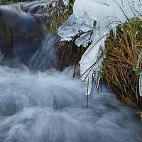 2013-02-10 11-58-32