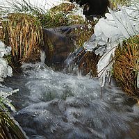 2013-02-10 11-58-55