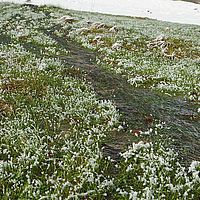 2013-02-10 12-02-53