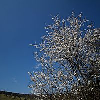 2013-04-25 11-27-44