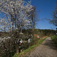 2013-04-25 11-28-02