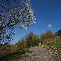 2013-04-25 11-30-33