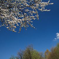 2013-04-25 11-32-17