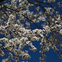 2013-04-25 11-32-55