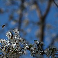 2013-04-25 11-34-01