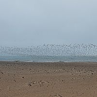 2013-09-17 11-24-23