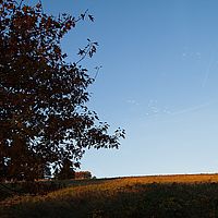 2013-10-19 08-07-50