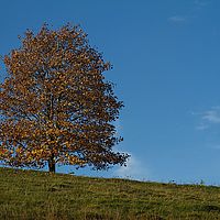 2013-10-19 09-16-32