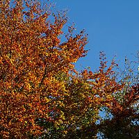 2013-10-19 09-17-03