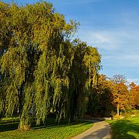 2013-10-22 17-22-07