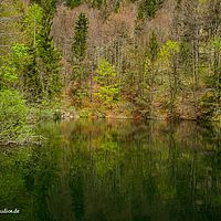 2014-04-21 06-13-50