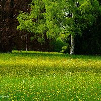 2014-04-25 07-17-09