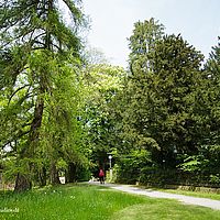 2014-04-25 07-19-06