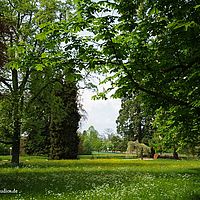 2014-04-25 07-20-20