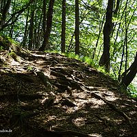 2014-06-07 11-56-59