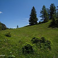2014-06-07 13-01-33