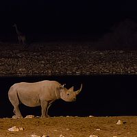 2013-09-18 20-51-39