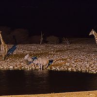 2013-09-18 20-53-26