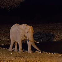 2013-09-18 21-03-48