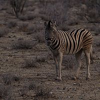 2013-09-19 07-09-25