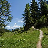 2014-06-07 13-02-44