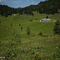 2014-06-07 13-18-22