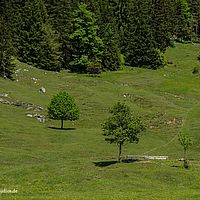 2014-06-07 14-10-24