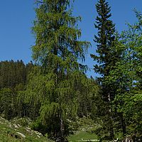 2014-06-07 15-35-40-2