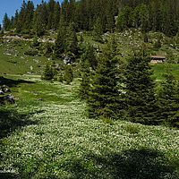 2014-06-07 15-37-38