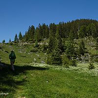 2014-06-07 15-38-43