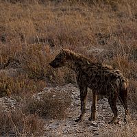 2013-09-19 07-34-47