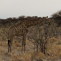 2013-09-19 08-29-26