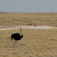 2013-09-19 10-22-56