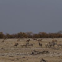 2013-09-19 10-38-53