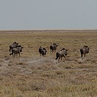 2013-09-19 10-53-05