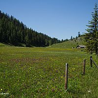 2014-06-08 11-30-57