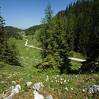 2014-06-08 14-17-51