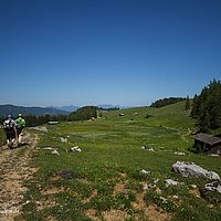 2014-06-08 14-38-19