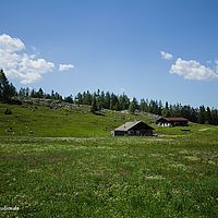 2014-06-08 14-41-47