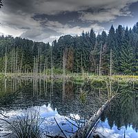 2014-09-21 13-54-25 hdr