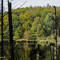 2014-10-12 14-27-50